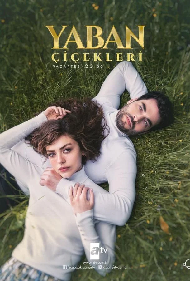 Смотреть турецкий сериал Дикие цветы (2024) онлайн в хорошем качестве 720-1080 HD, бесплатно на русском языке